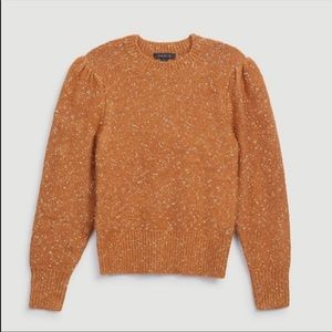 Ann Taylor Shimmer Sweater